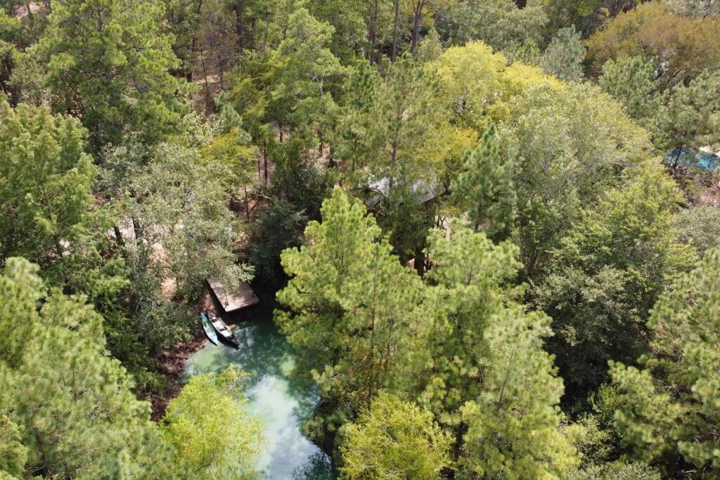 Waterfront Treehouse In A Magical Forest Waller Exterior photo